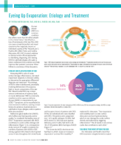 Eyeing Up Evaporation: Etiology and Treatment image