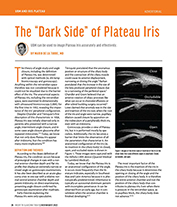 The “Dark Side” of Plateau Iris image