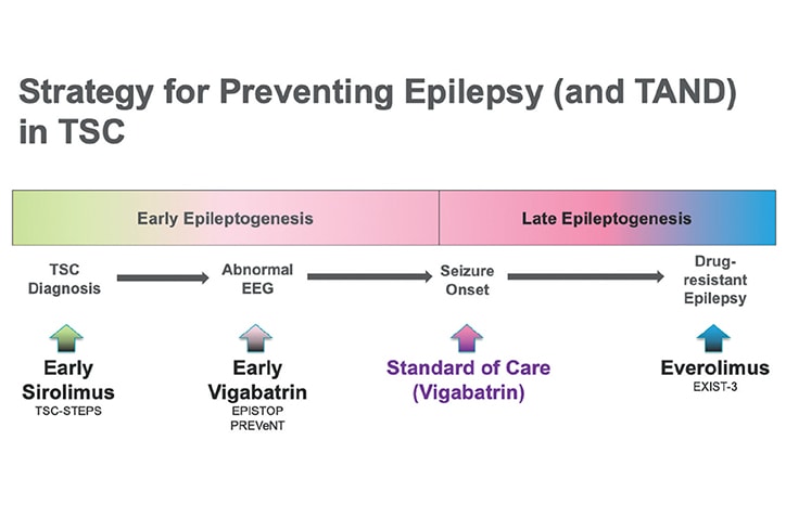 Epilepsy And Seizures Practical Neurology