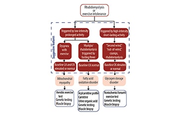 Neuromuscular Notes: Diagnosing Metabolic Myopathies - Practical Neurology