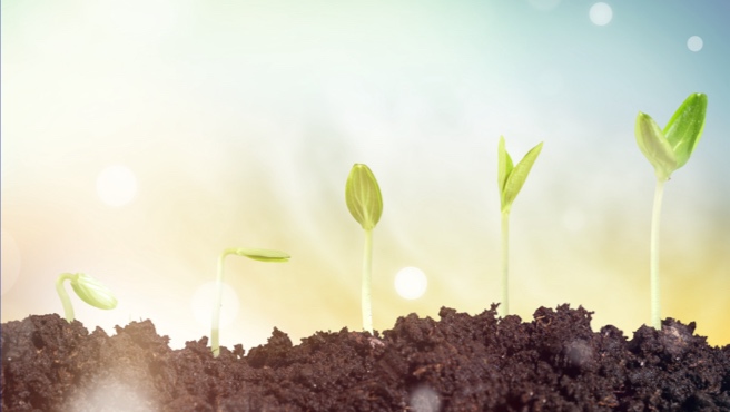 How to Thrive as a New Fellow image
