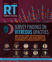Survey Findings on Vitreous Opacities and Expert Panel Recommendations on the Referral and Management of Symptomatic Vitreous Opacity Cases image