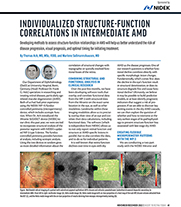 Individualized Structure-function Correlations in Intermediate AMD image