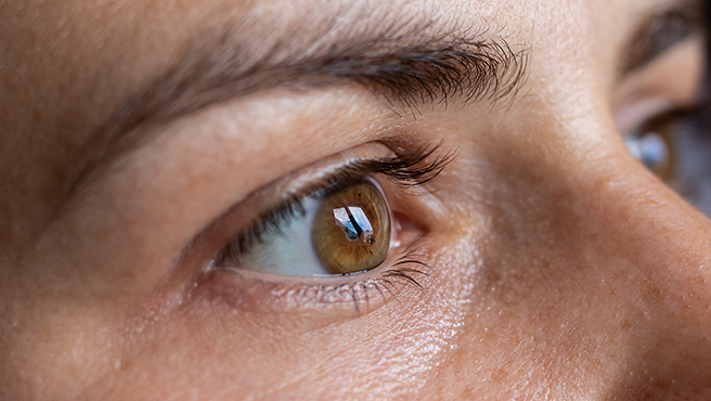 Accessing the Gift of Sight image