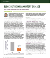 Blocking the Inflammatory Cascade image