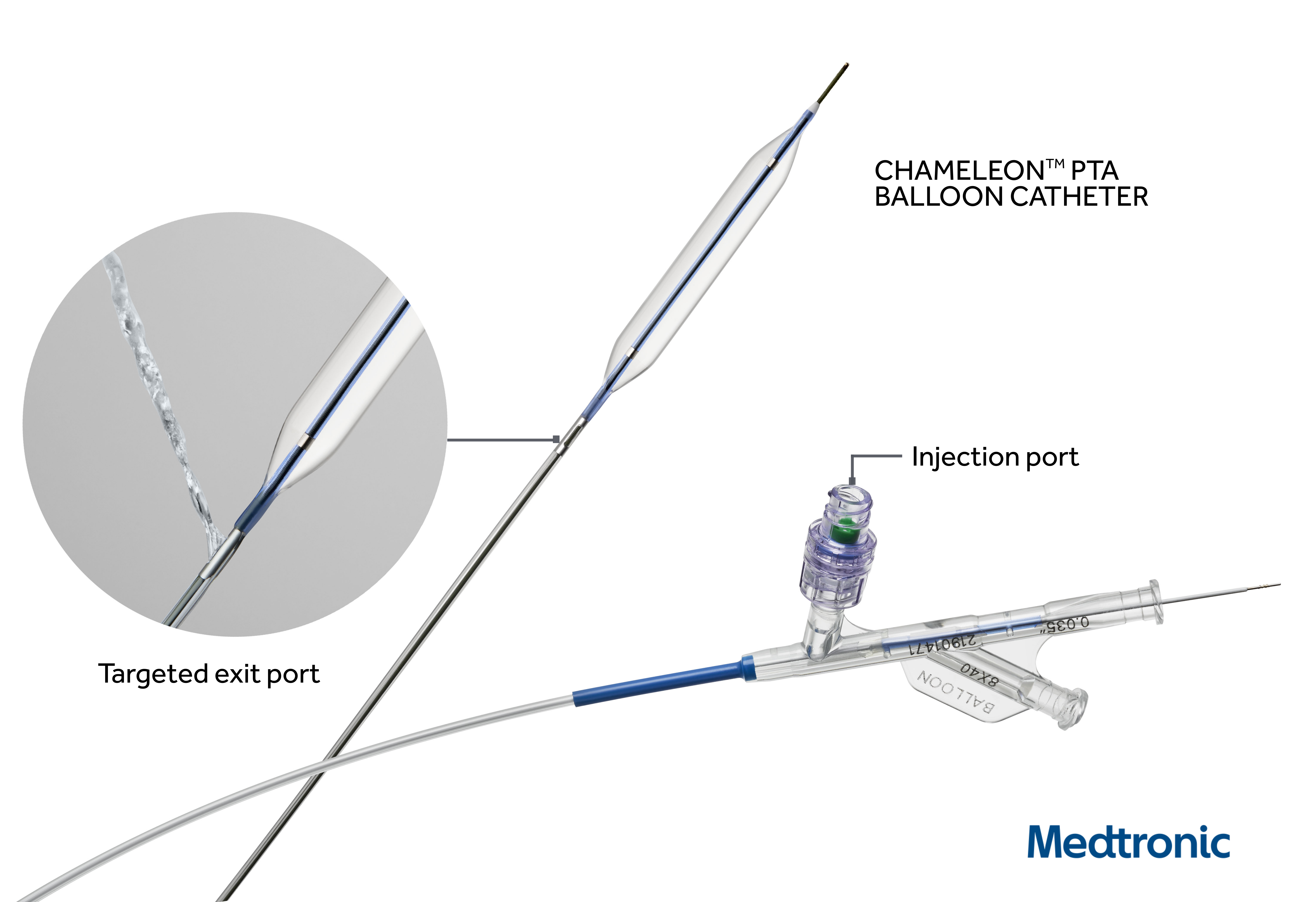 Agnes Gray Mm aanplakbiljet Medtronic's Chameleon PTA Balloon Catheter Studied for Fistula and Graft  Maintenance Procedures - Endovascular Today