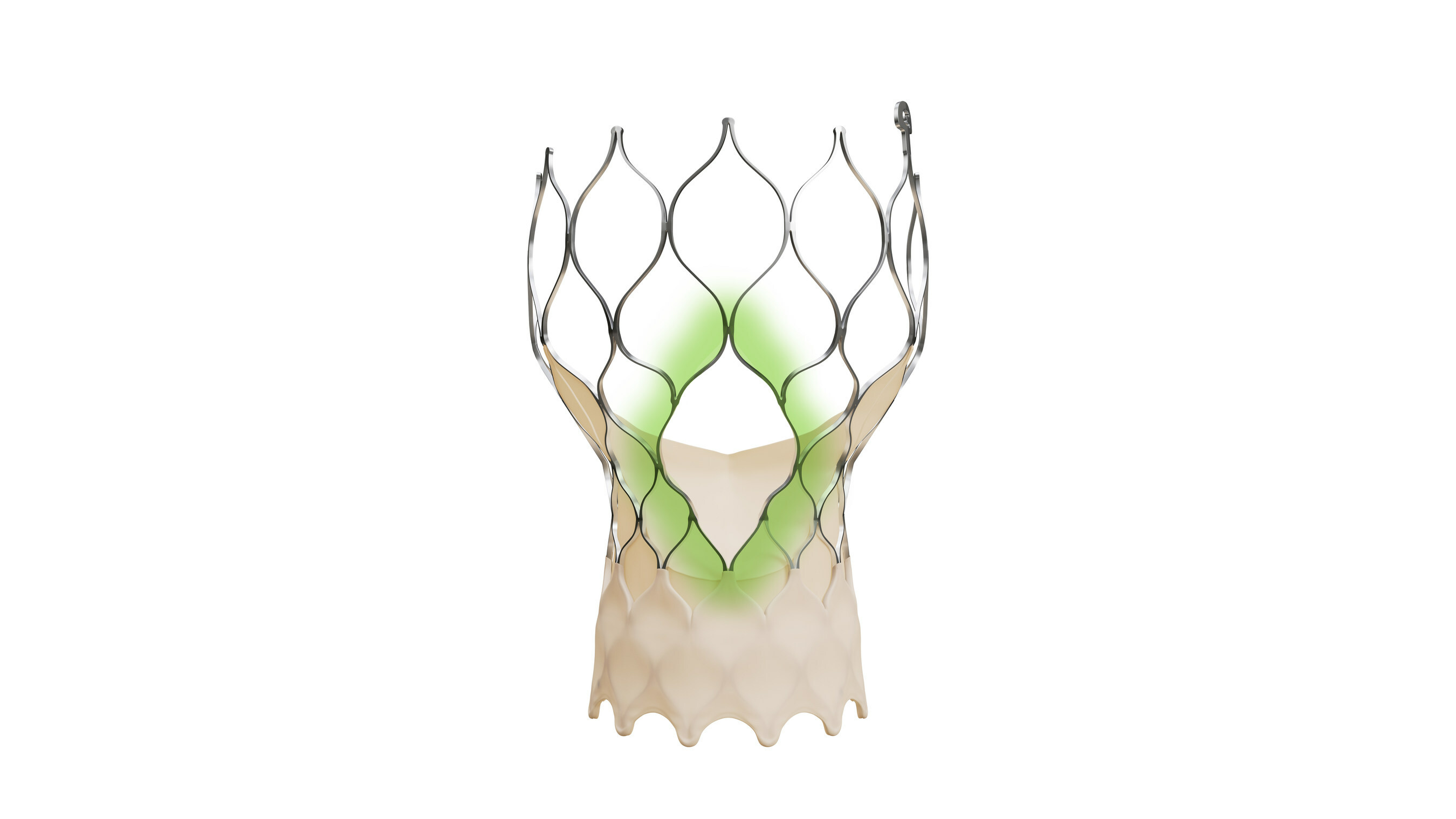 Medtronic’s Evolut FX+ TAVR System Gains FDA Approval - Cardiac ...