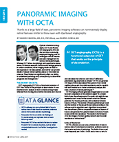 Panoramic Imaging with OCTA