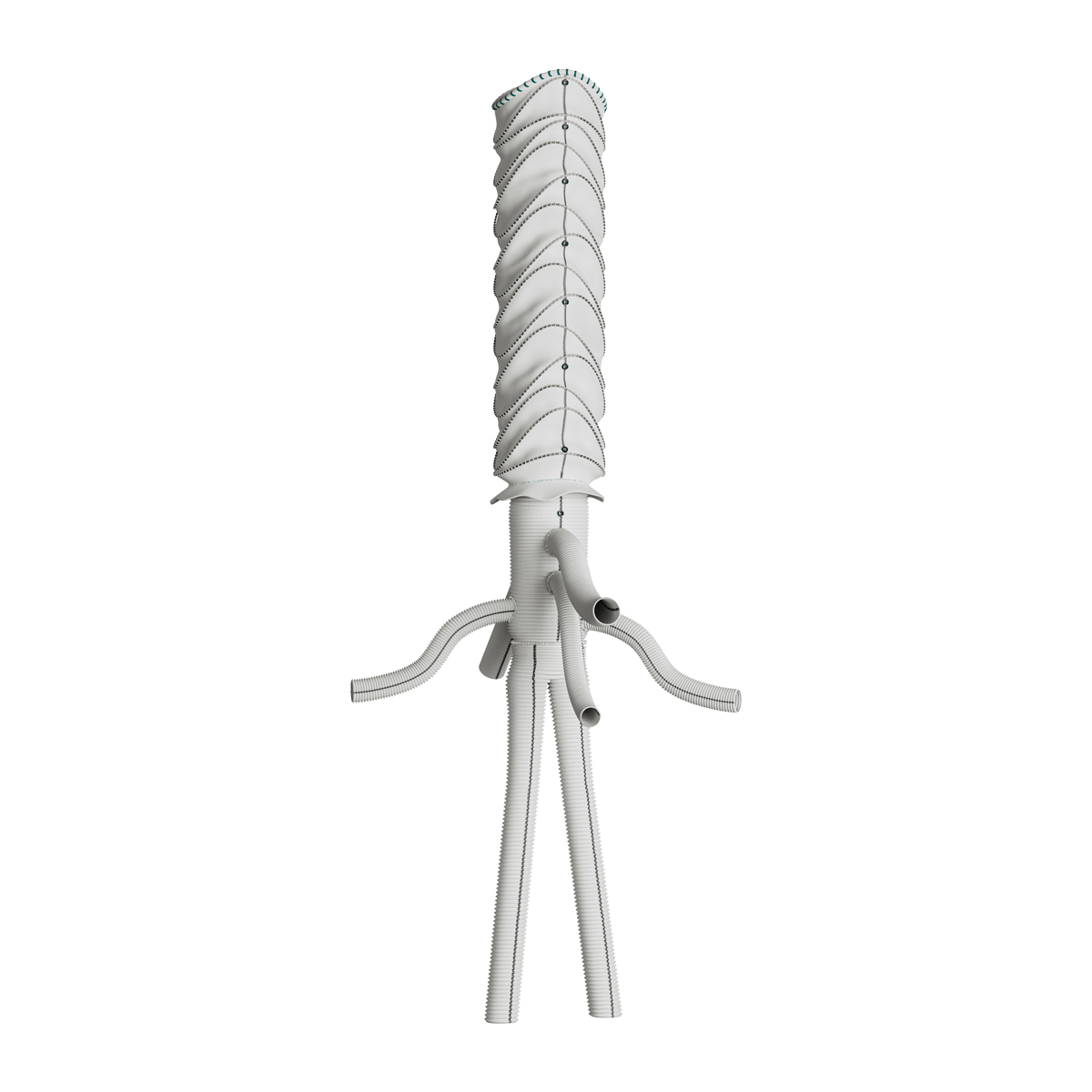 Terumo Aortic’s ThoracoFlo Hybrid Device Used in First North American
