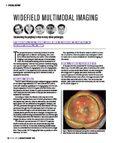 Widefield Multimodal Imaging