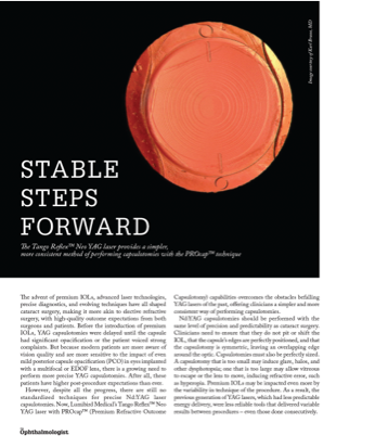 Stable Steps Forward image