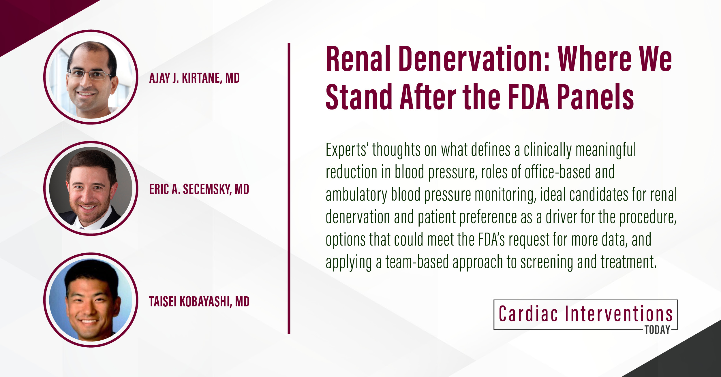 FDA Advisors' Recommendation on Renal Denervation Hinges on