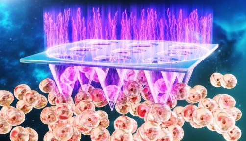 Cold Plasma Patch May Make Immunotherapy More Effective for Treating Melanoma image