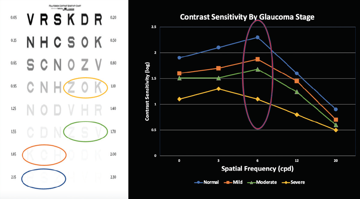 The Contrast Sensitivity Story Today