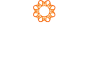Omidria white 11-22