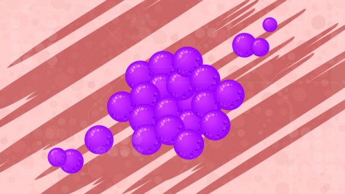 Half of Lupus Rashes Harbor High Levels of Staph Bacteria image