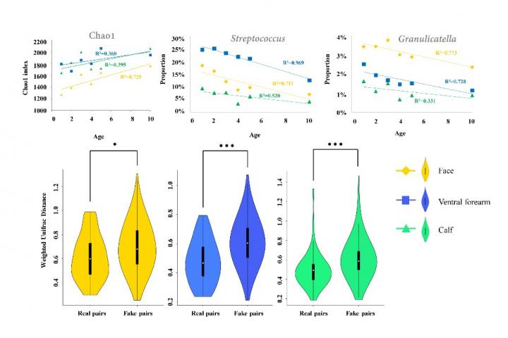 Mode of Delivery at Birth May Shape Child's Skin Microbiome image